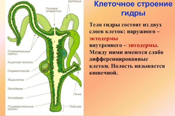 Кракен даркнет рабочая