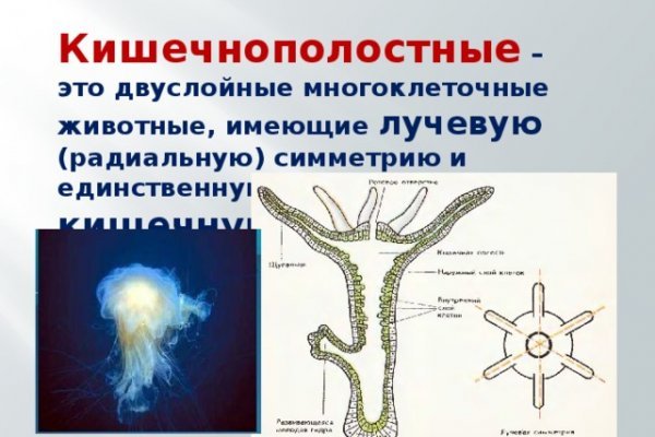 Ссылка кракен магазин