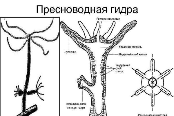 Современный маркетплейс kraken door