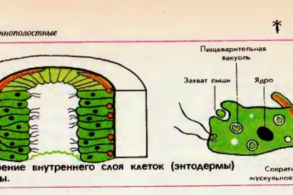 Купить наркотики томск