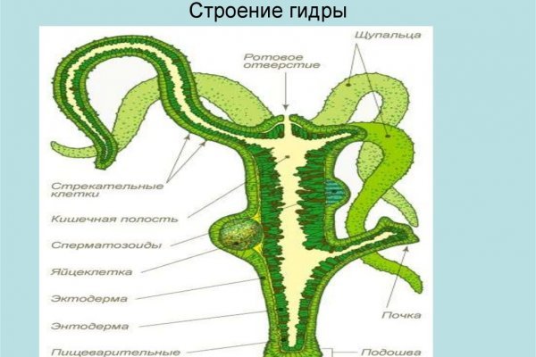 Кракен купить наркотики