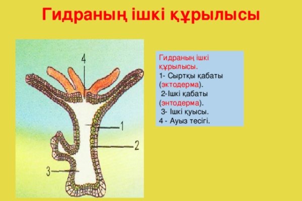 Запрещенный сайт кракен